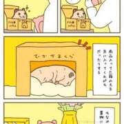 ヒメ日記 2025/01/08 22:00 投稿 体験なな ミセスコレクション