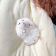 ヒメ日記 2025/01/09 22:53 投稿 体験なな ミセスコレクション