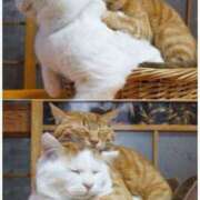 ヒメ日記 2025/01/10 01:03 投稿 体験なな ミセスコレクション