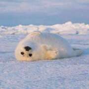 ヒメ日記 2025/01/10 20:28 投稿 体験なな ミセスコレクション