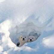 ヒメ日記 2025/01/10 23:23 投稿 体験なな ミセスコレクション