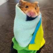 ヒメ日記 2025/01/11 00:59 投稿 体験なな ミセスコレクション