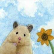 ヒメ日記 2025/01/11 08:03 投稿 体験なな ミセスコレクション