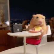 ヒメ日記 2025/01/12 00:03 投稿 体験なな ミセスコレクション