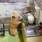 ヒメ日記 2025/01/12 01:57 投稿 体験なな ミセスコレクション