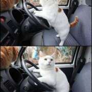 ヒメ日記 2025/01/12 08:03 投稿 体験なな ミセスコレクション