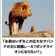 ヒメ日記 2025/01/12 22:43 投稿 体験なな ミセスコレクション