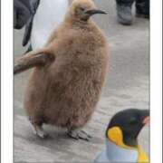 ヒメ日記 2025/01/14 08:20 投稿 体験なな ミセスコレクション