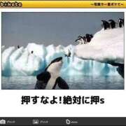 ヒメ日記 2025/01/15 08:03 投稿 体験なな ミセスコレクション