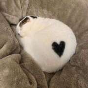 ヒメ日記 2025/01/15 20:03 投稿 体験なな ミセスコレクション