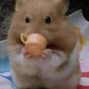 ヒメ日記 2025/01/16 01:53 投稿 体験なな ミセスコレクション