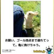 ヒメ日記 2025/01/16 08:13 投稿 体験なな ミセスコレクション