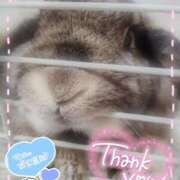 ヒメ日記 2025/01/16 21:43 投稿 体験なな ミセスコレクション