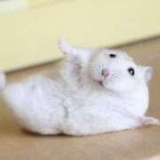 ヒメ日記 2025/01/16 21:51 投稿 体験なな ミセスコレクション