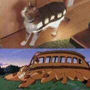 ヒメ日記 2025/01/18 08:03 投稿 体験なな ミセスコレクション