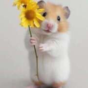 ヒメ日記 2025/01/19 01:03 投稿 体験なな ミセスコレクション