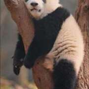 ヒメ日記 2025/01/19 01:12 投稿 体験なな ミセスコレクション