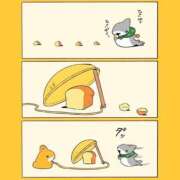 ヒメ日記 2025/01/19 01:30 投稿 体験なな ミセスコレクション