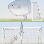 ヒメ日記 2025/01/19 08:03 投稿 体験なな ミセスコレクション