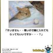 ヒメ日記 2025/01/20 00:23 投稿 体験なな ミセスコレクション