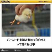 ヒメ日記 2025/01/20 08:23 投稿 体験なな ミセスコレクション