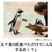 ヒメ日記 2025/01/20 12:23 投稿 体験なな ミセスコレクション