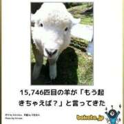 ヒメ日記 2025/01/21 08:13 投稿 体験なな ミセスコレクション