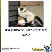 ヒメ日記 2025/01/22 02:03 投稿 体験なな ミセスコレクション