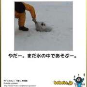 ヒメ日記 2025/01/22 08:13 投稿 体験なな ミセスコレクション