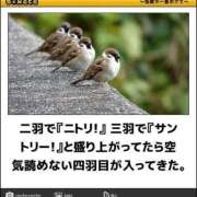 ヒメ日記 2025/01/24 00:53 投稿 体験なな ミセスコレクション