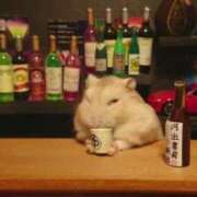 ヒメ日記 2025/01/24 02:03 投稿 体験なな ミセスコレクション