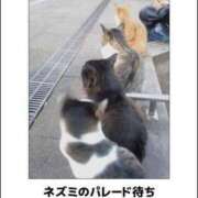 ヒメ日記 2025/01/24 08:13 投稿 体験なな ミセスコレクション