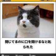 ヒメ日記 2025/01/26 08:03 投稿 体験なな ミセスコレクション