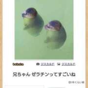 ヒメ日記 2025/01/28 23:43 投稿 体験なな ミセスコレクション