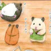 ヒメ日記 2025/01/31 12:04 投稿 体験なな ミセスコレクション