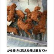 ヒメ日記 2025/01/31 19:33 投稿 体験なな ミセスコレクション