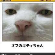 ヒメ日記 2025/01/31 23:13 投稿 体験なな ミセスコレクション