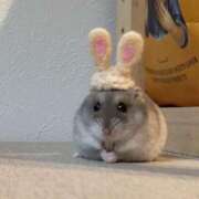 ヒメ日記 2025/02/01 08:15 投稿 体験なな ミセスコレクション