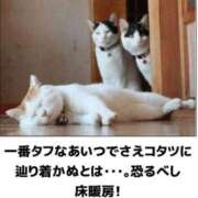 ヒメ日記 2025/02/01 20:23 投稿 体験なな ミセスコレクション