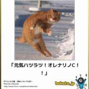 ヒメ日記 2025/02/01 22:13 投稿 体験なな ミセスコレクション