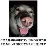 ヒメ日記 2025/02/02 01:23 投稿 体験なな ミセスコレクション