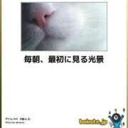 ヒメ日記 2025/02/02 08:03 投稿 体験なな ミセスコレクション