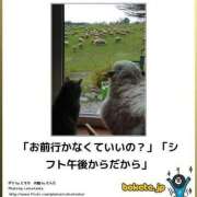 ヒメ日記 2025/02/03 12:14 投稿 体験なな ミセスコレクション