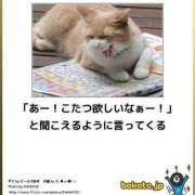 ヒメ日記 2025/02/04 08:13 投稿 体験なな ミセスコレクション