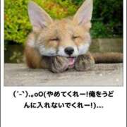 ヒメ日記 2025/02/04 12:04 投稿 体験なな ミセスコレクション