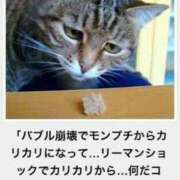 ヒメ日記 2025/02/28 08:03 投稿 体験なな ミセスコレクション