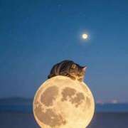 ヒメ日記 2025/02/28 19:44 投稿 体験なな ミセスコレクション