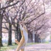 ヒメ日記 2025/03/01 08:03 投稿 体験なな ミセスコレクション