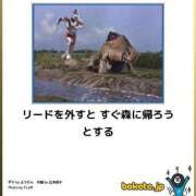 ヒメ日記 2025/03/02 01:53 投稿 体験なな ミセスコレクション