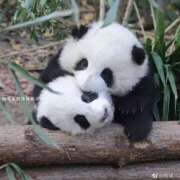 ヒメ日記 2025/03/02 02:23 投稿 体験なな ミセスコレクション